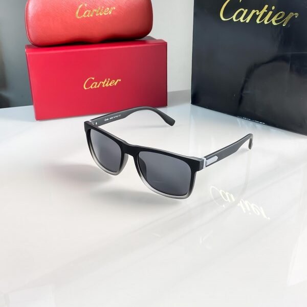 Cartier ASH 3115 Sunglasses